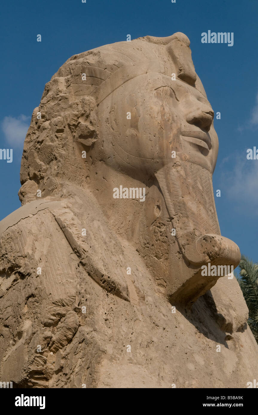 Die riesigen alabaster Sphinx außerhalb der Tempel des Ptah. in Memphis, der alten Hauptstadt von Inebu-hedj, der erste nome von Unterägypten. Stockfoto