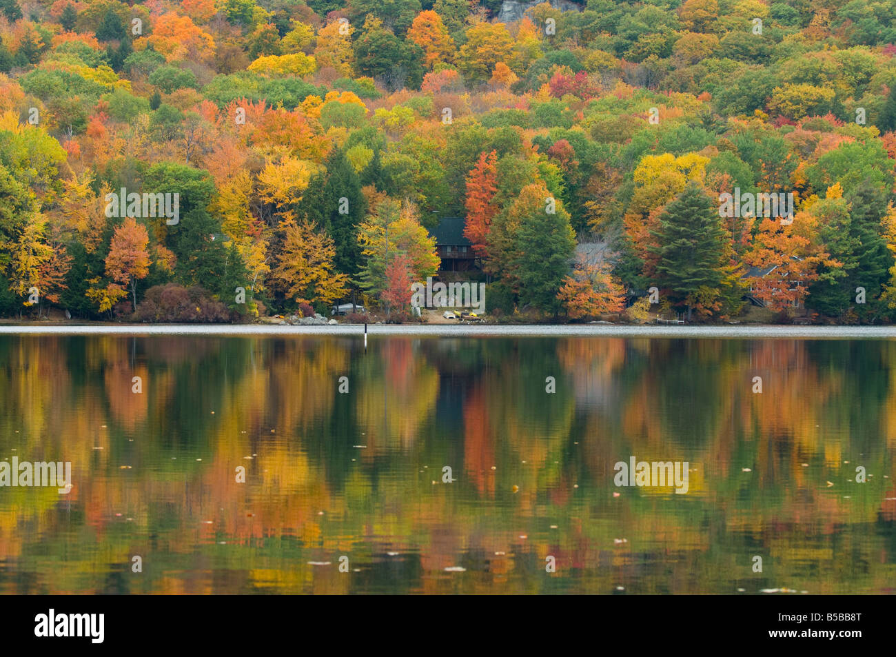 Herbstfarben spiegeln in Wickwas See New Hampshire New England USA Stockfoto