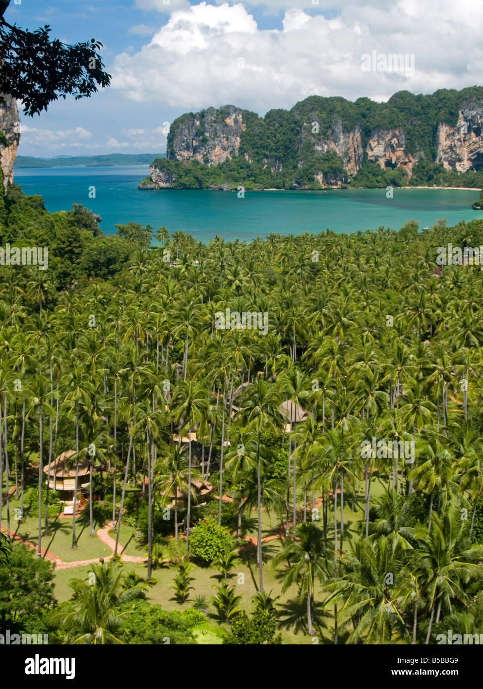 Luftaufnahme des schönen Tonsai Bay in Krabi Thailand Stockfoto