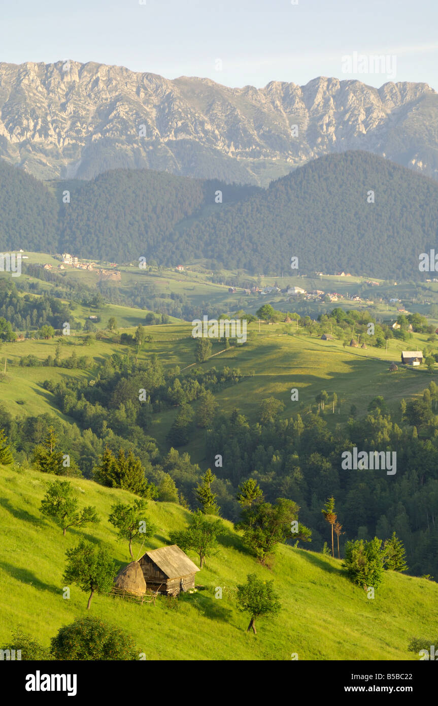 Transsilvanischen Alpen, in der Nähe von Fundata, Siebenbürgen, Rumänien, Europa Stockfoto