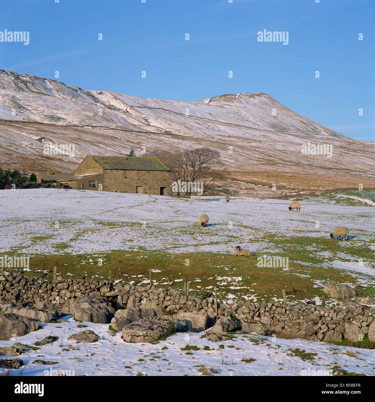 Yorkshire Dales in Winter, North Yorkshire, England, Europa Stockfoto