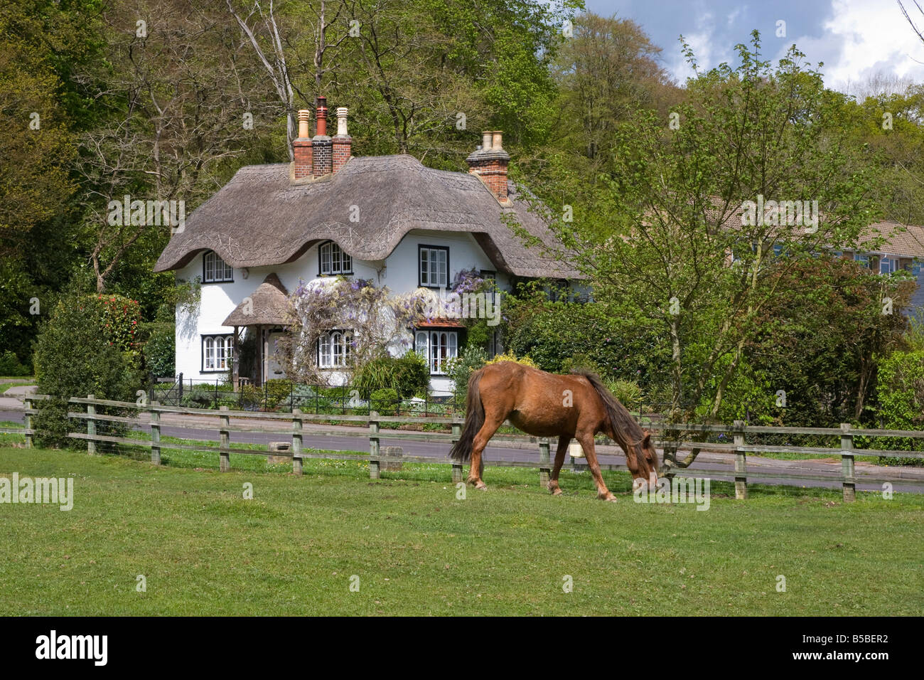 Strohgedeckte Hütte und Pony, New Forest, Hampshire, England, Europa Stockfoto