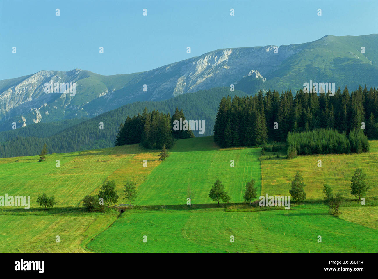 Hohe Tatra Ackerland in der Nähe von Zdair und der polnischen Grenze Slowakei Europa J Strachan Stockfoto