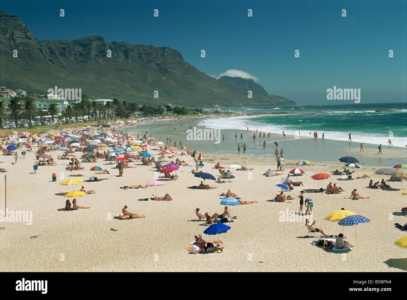 Clifton Bay und Strand geschützt durch die Löwen Apos s Kopf und die zwölf Apostel in der Nähe von Cape Town Südafrika G Hellier Stockfoto