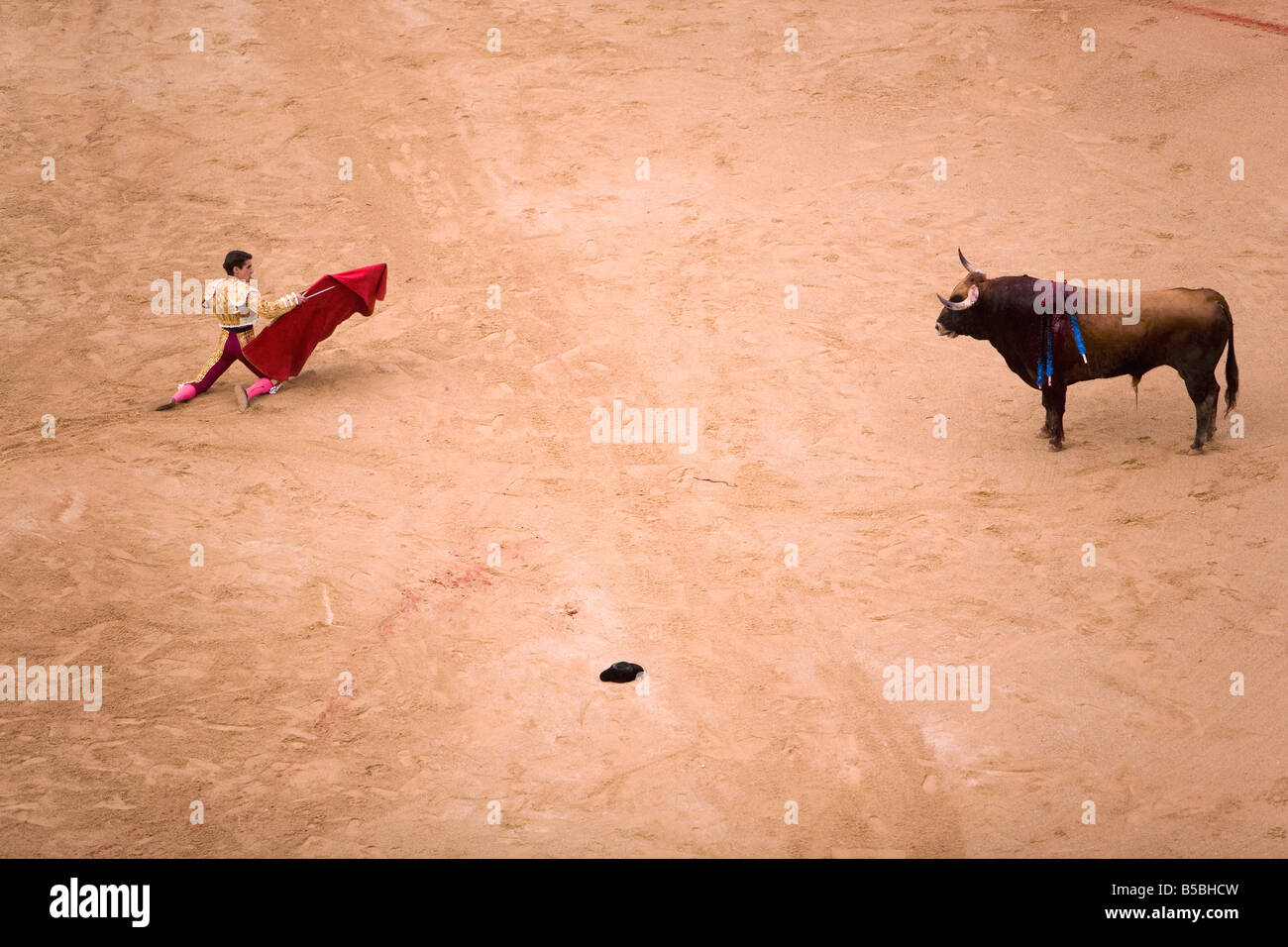 Stierkampf in Plaza de Toros während San Fermin Festival, Pamplona, Navarra, Baskenland, Spanien, Europa Stockfoto