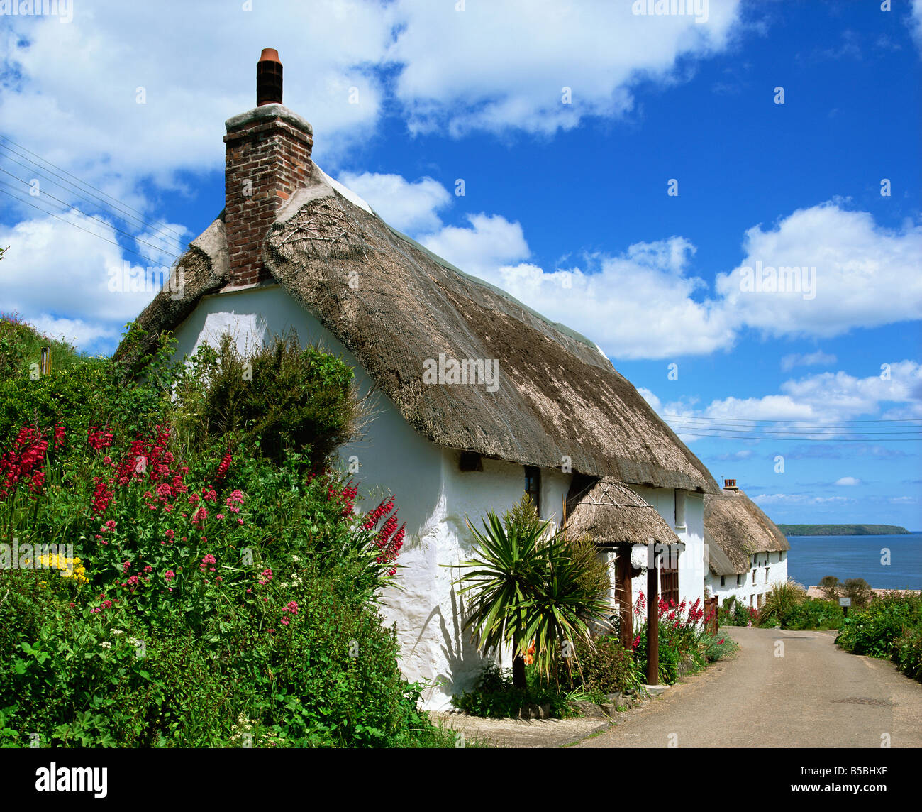 Reetdachhaus auf einer Dorfstraße in Cornwall England Großbritannien Europa Stockfoto