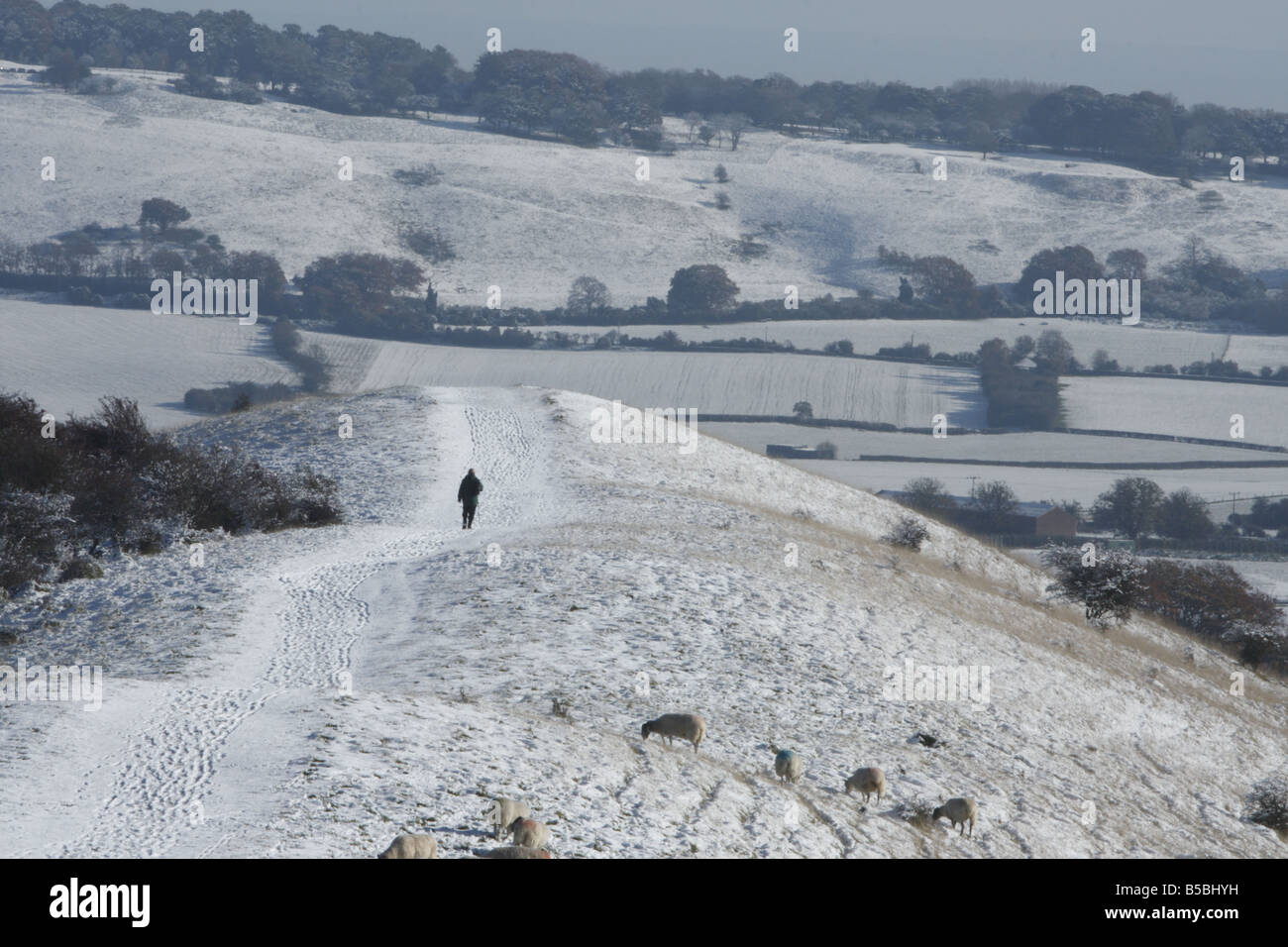 Rambler zu Fuß entlang der Icknield Way im Schnee Stockfoto