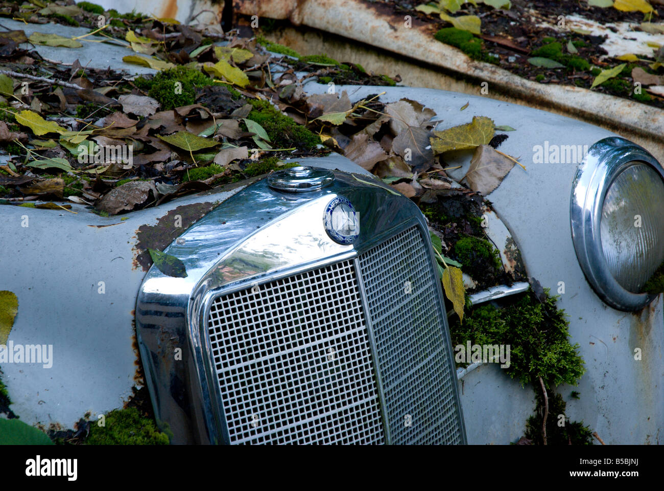Der Grill und Hood Ornament ein Mercedes funkeln auf dem Schrottplatz; Autofriedhof Gurbetal, Kaufdorf, Schweiz Stockfoto