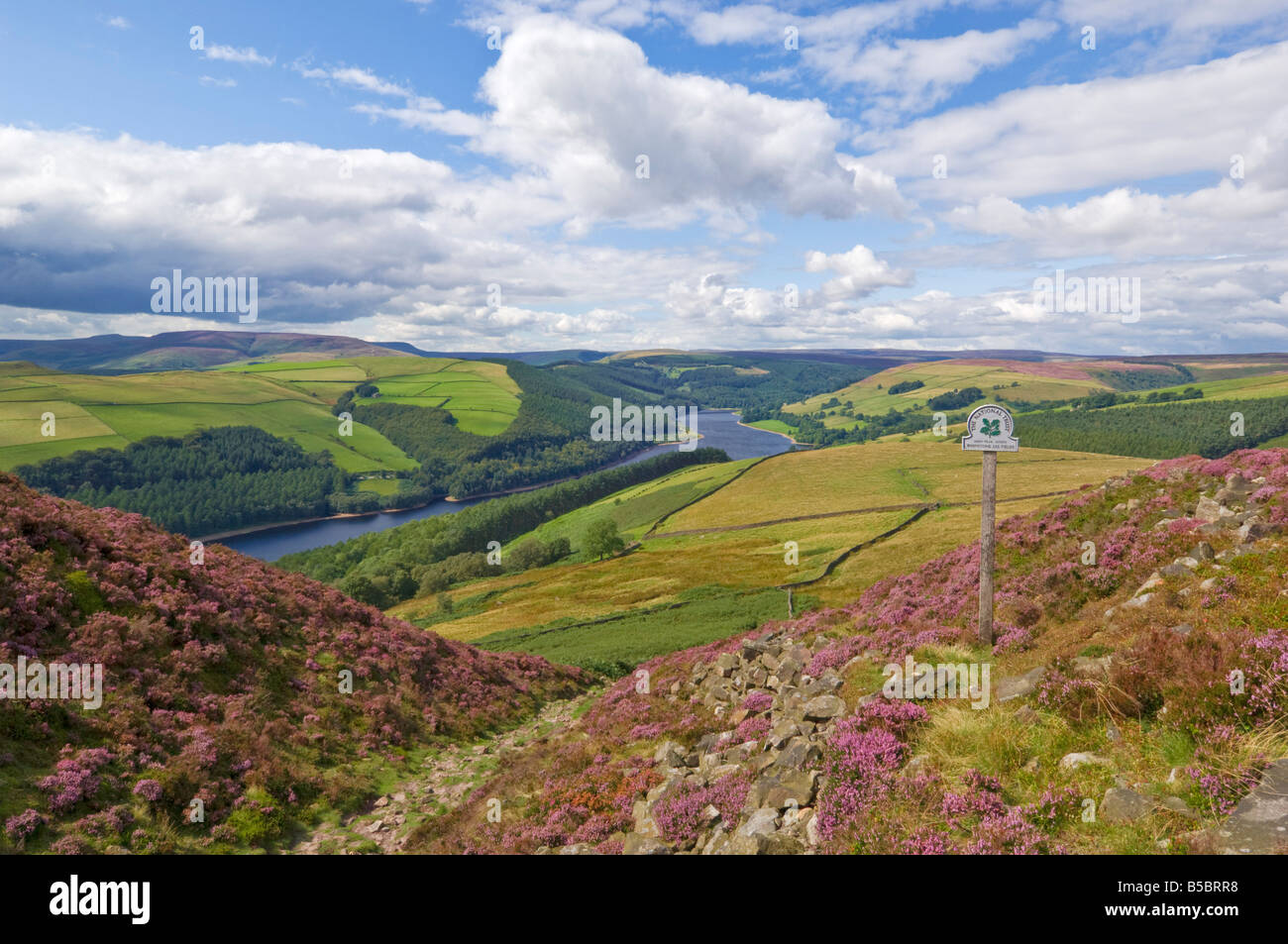 Whinstone lee Tor Derwent Rand Ladybower Vorratsbehälter Derbyshire Peak District national Park Derbyshire England UK GB EU Europa Stockfoto