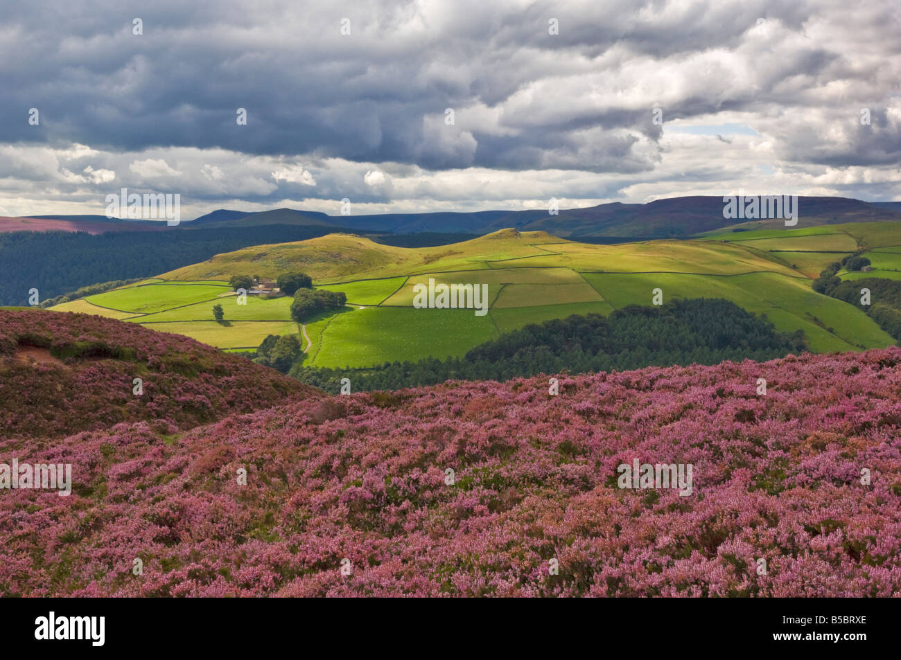 Whinstone lee Tor Derwent edge Derbyshire Peak District national Park Derbyshire England UK GB EU Europa Stockfoto