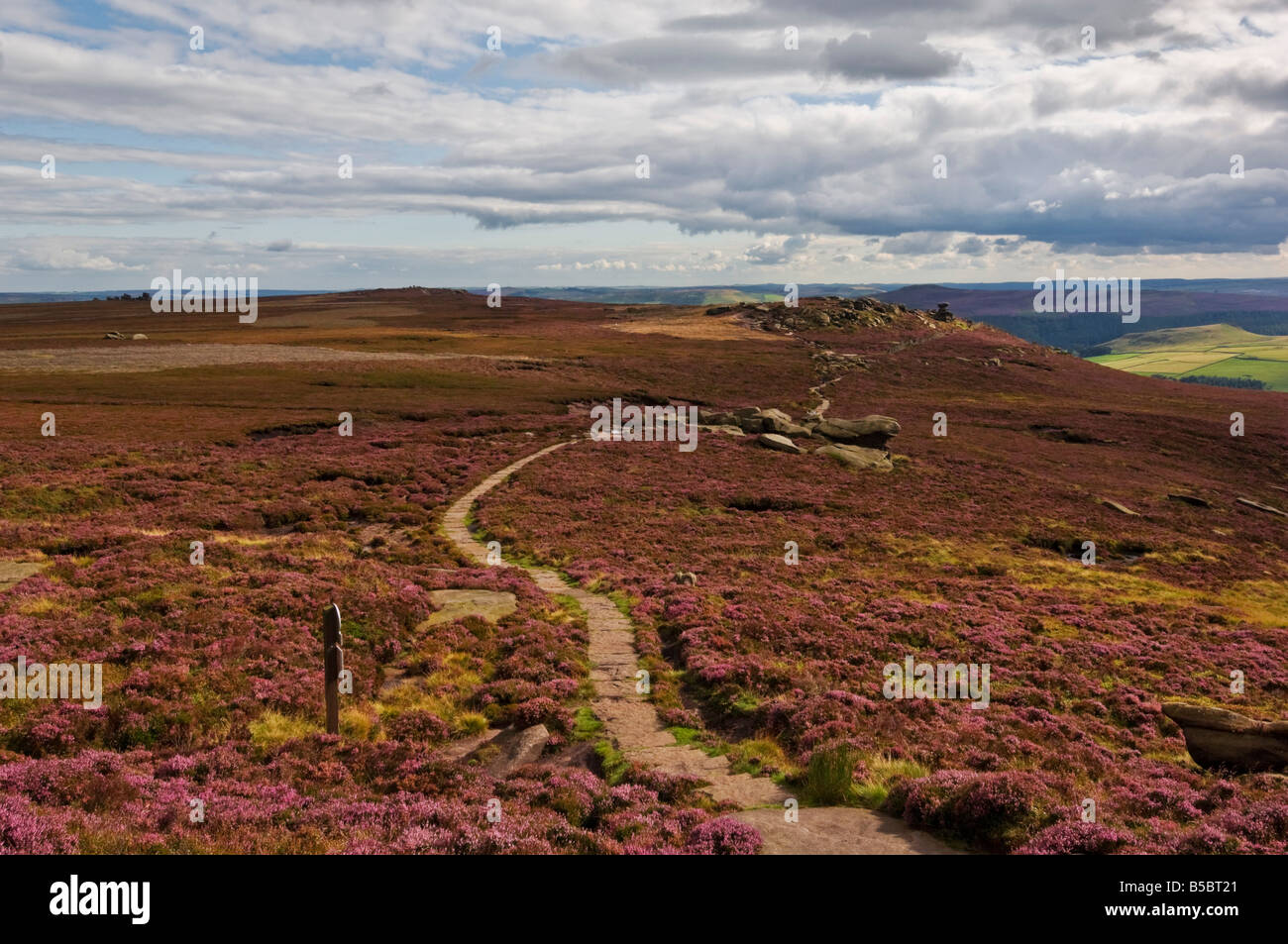 Heather Moor am Whinstone lee Tor Derwent Rand Derbyshire Peak District Nationalpark Derbyshire England UK GB EU Europa Stockfoto
