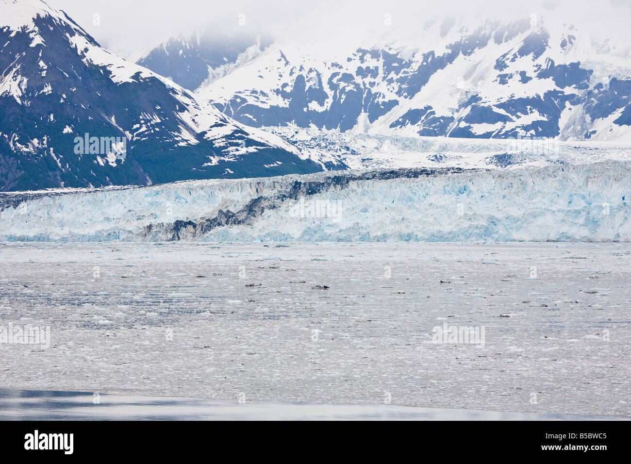 Hubbard und Valerie Gletscher fließen zusammen in Ernüchterung Bay und Yakutat Bay in Alaska und Yukon Kanada Stockfoto