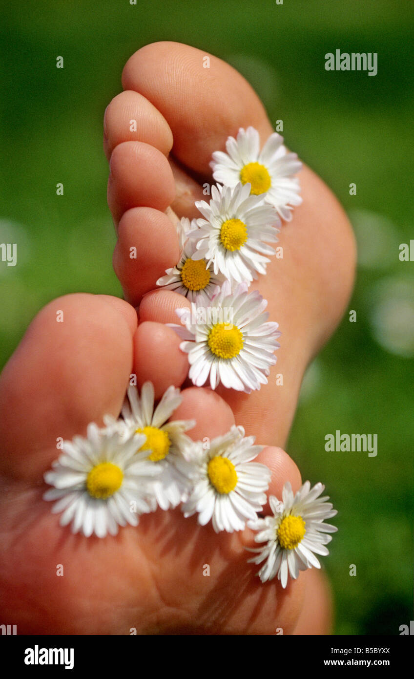 Frühling - Füße mit Gänseblümchen zwischen den Zehen in den Frühling Stockfoto