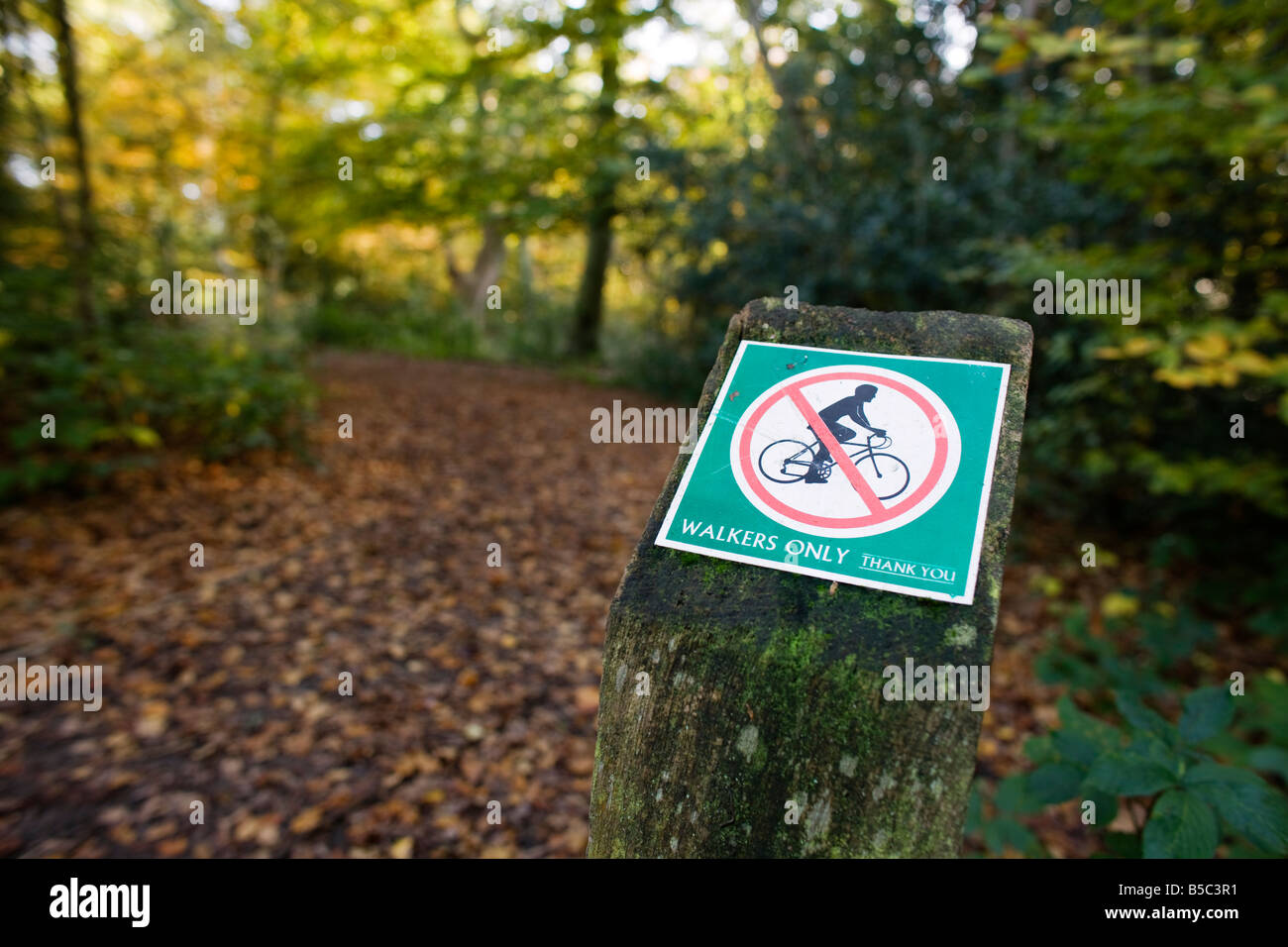 Herbst an der City of London besaß Burnham Beeches in Buckinghamshire. Radfahren verboten Schild am Weg. Stockfoto