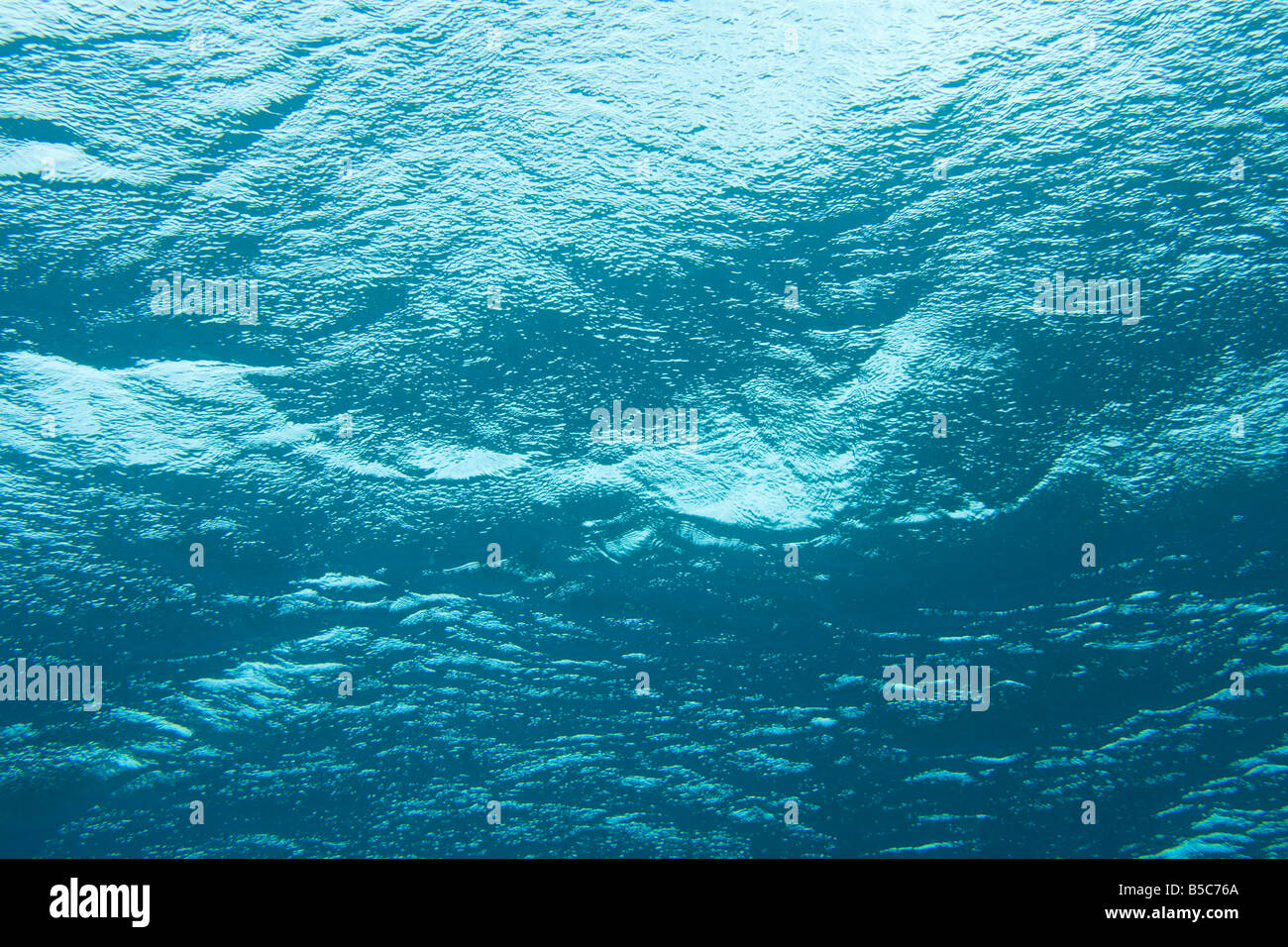 Unterwasserbilder Stockfoto
