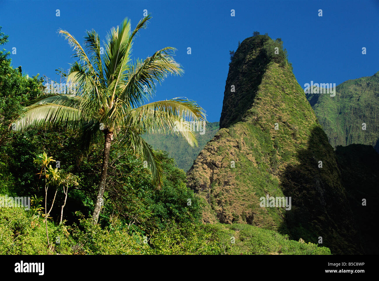 IAO Needle, Iao Valley, Maui, Hawaii Stockfoto