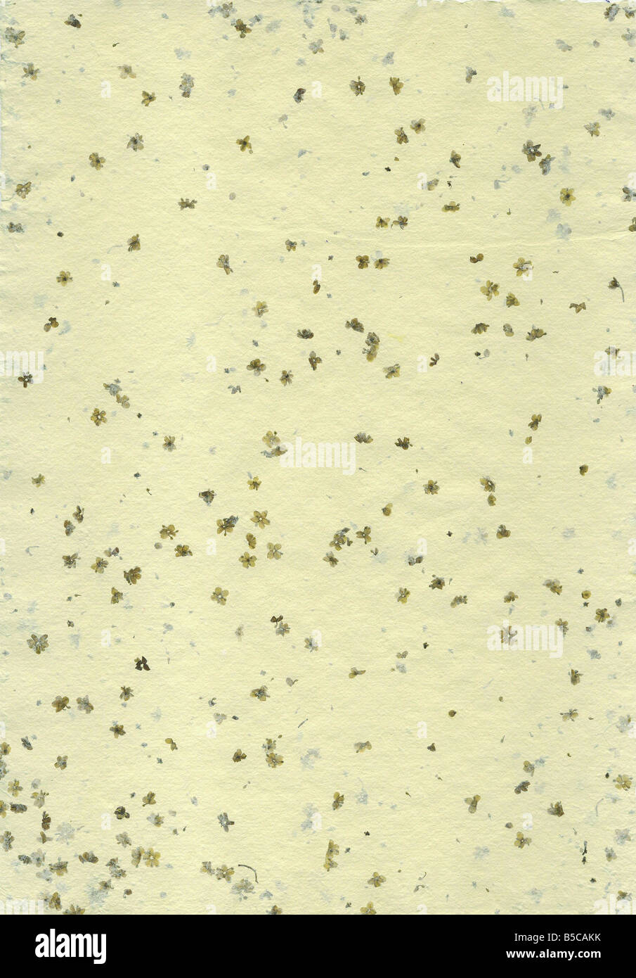 Detail von der rauen Oberfläche aus handgeschöpftem Papier mit Reste von Pflanzen - natürliches Produkt Stockfoto