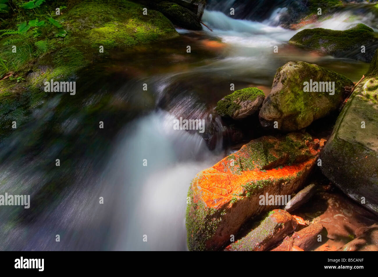 Schuss des Mauerfalls Wasser - Detail. Flusstal des Streams Bila Opava - Naturschutzgebiet - Natur bewahren. Stockfoto