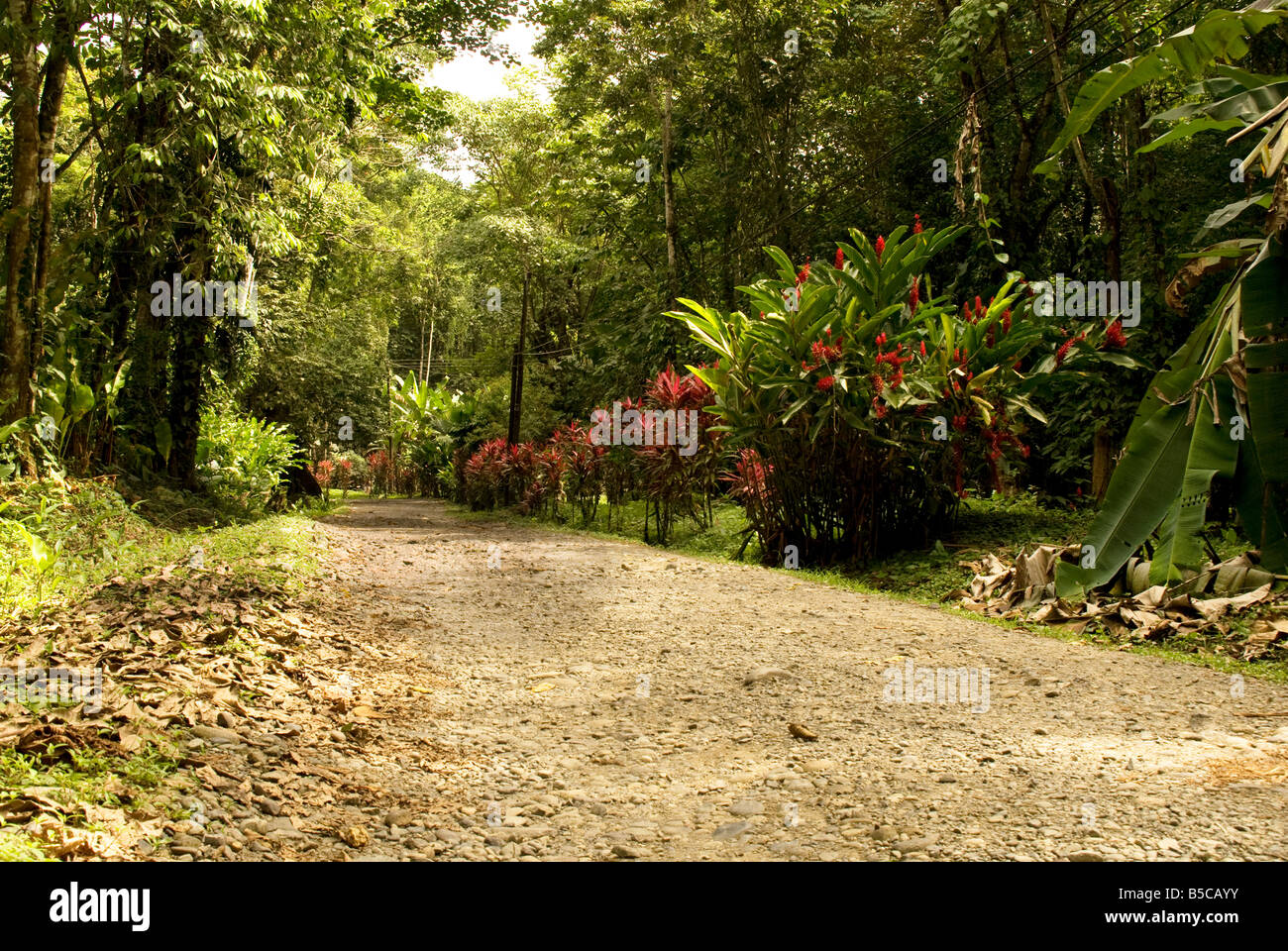 RUHIGE CAMINO PAZ ABANDONADO DESIERTO MISTERIOSO NATURALEZA VEREDA TIERRA REMOTO LEJOS DISTANTE AMBIENTE EXPLORACION VIAJE COMIENZO EMPEZAR TIERRA Stockfoto