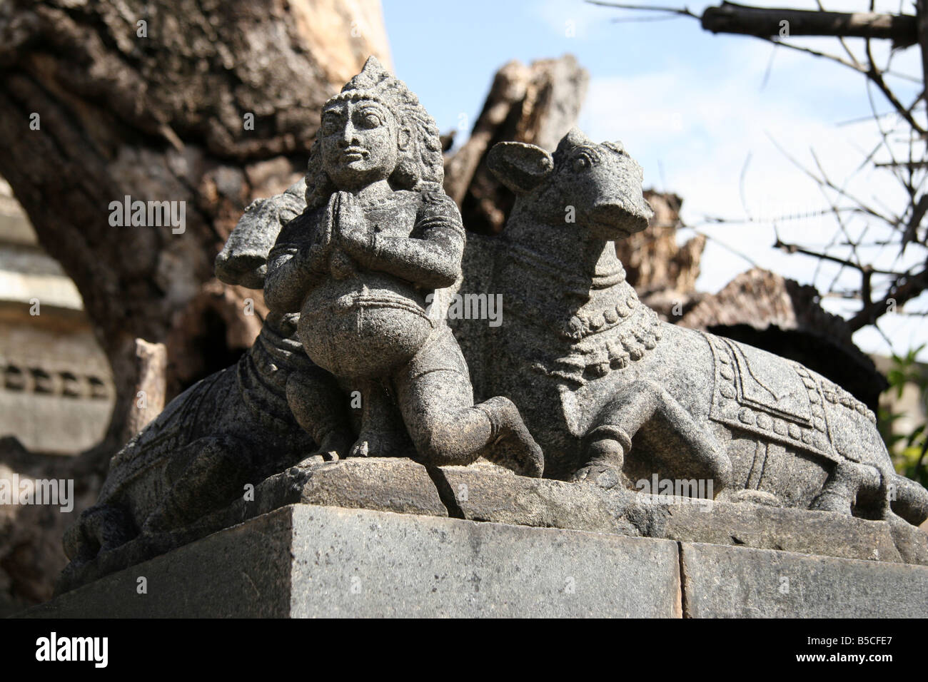 Ein Pavarti und Nandi-Statue vor dem Heiligen Mangobaum am Sri Ekambaranathar Tempel in Kanchipuram, Indien. Stockfoto