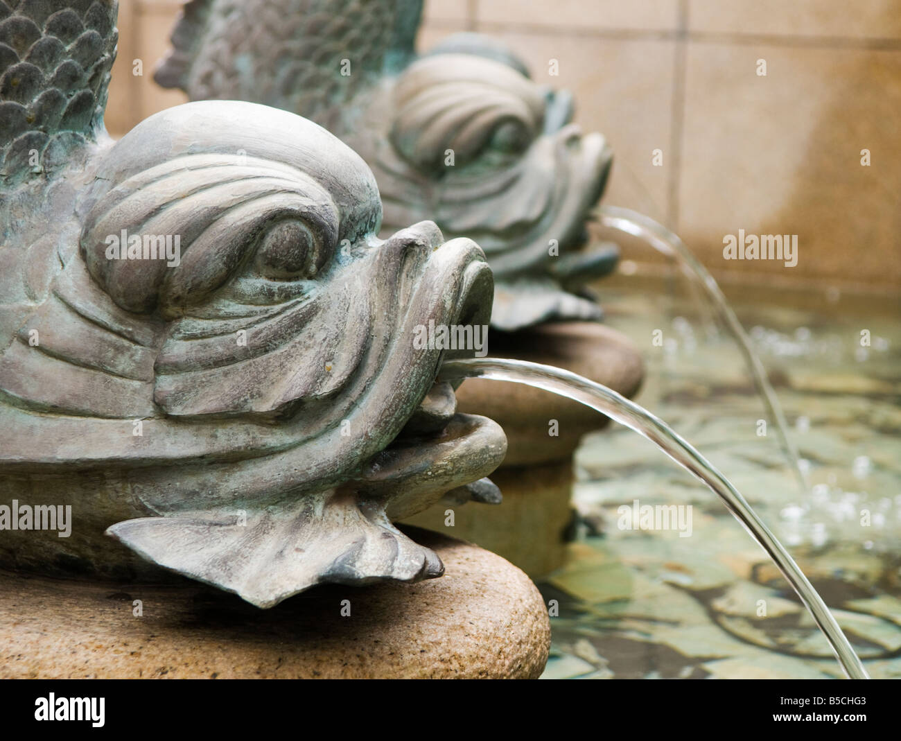 "Bronze Karpfen Fischen Brunnen Spritzwasser in einem reich verzierten Teich in einem öffentlichen Hof in Hong Kong." Stockfoto
