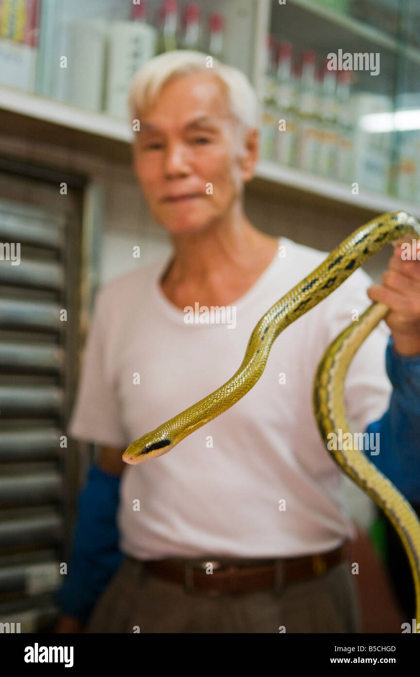 "Eine traditionelle Schlange Shop in Hong Kong." Stockfoto