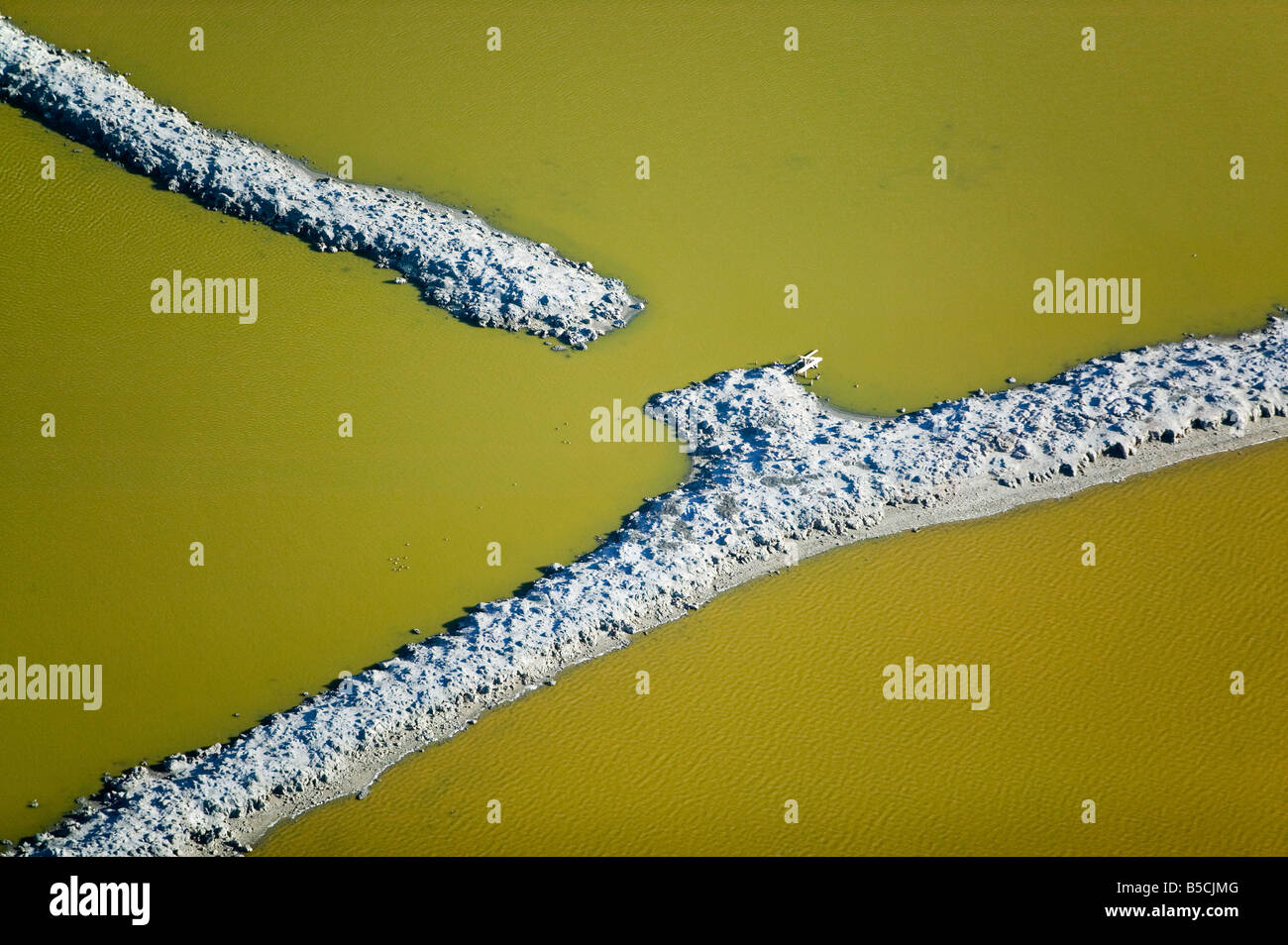 Duniella Fotos und Bildmaterial in hoher Auflösung Alamy