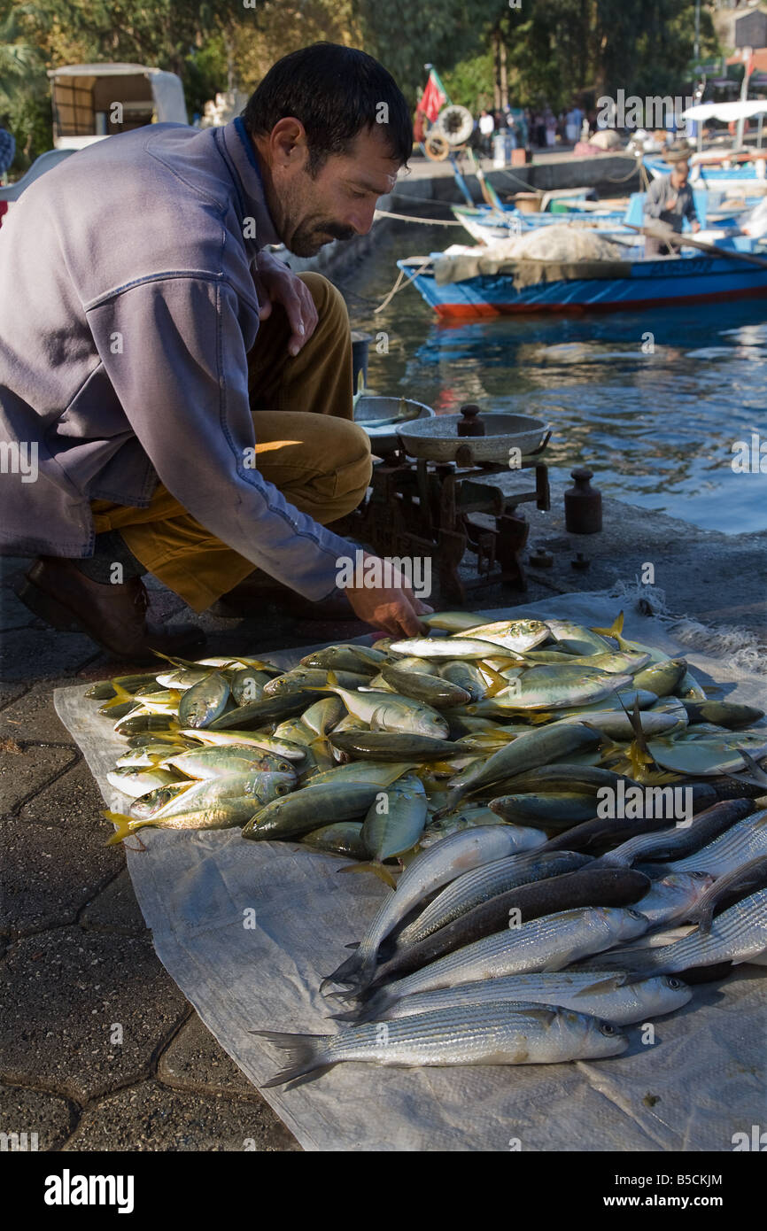 Eine türkische Fischer Verkauf von Fischen auf dem Bürgersteig am Mittelmeer in Fethiye, Türkei Stockfoto