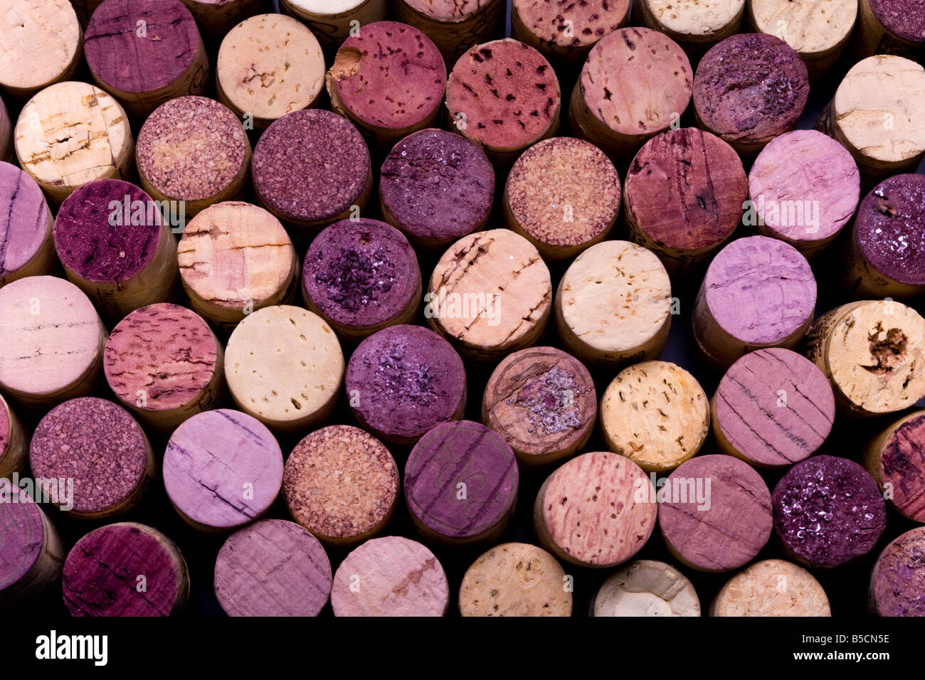 Flasche Wein Korken Stockfoto