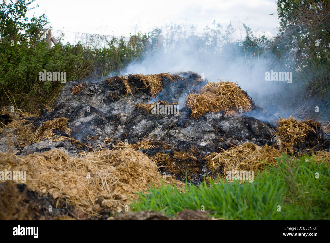 Brennen einen Haufen altes Stroh, Einstreu, dung, landwirtschaftliche Abfälle, auf die Grenzen von Hampshire und Doset, UK. Stockfoto