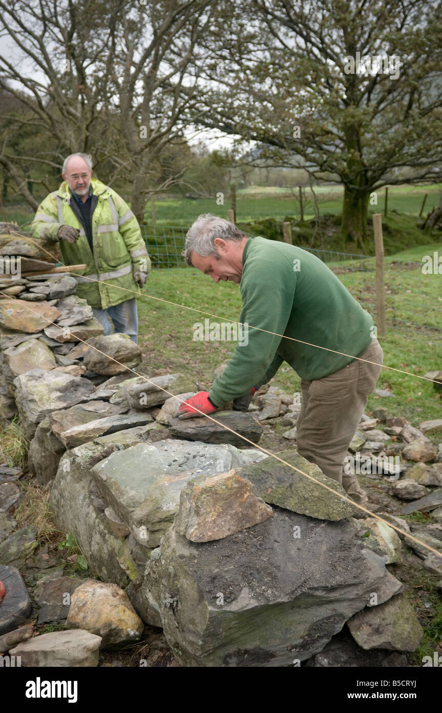 zwei Männer, die Reparatur einer Trockensteinmauer auf einem Bauernhof in Snowdonia Gwynedd Nord-Wales mit traditionellen Fertigkeiten und Techniken, UK Stockfoto