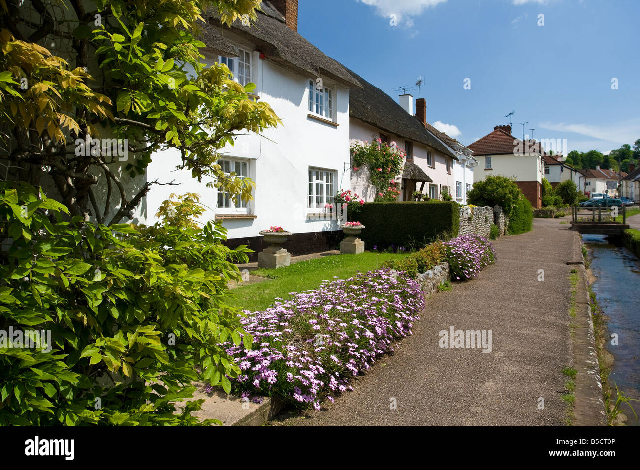 Ansicht der Cottages in der Devon-Dorf Otterton. Stockfoto