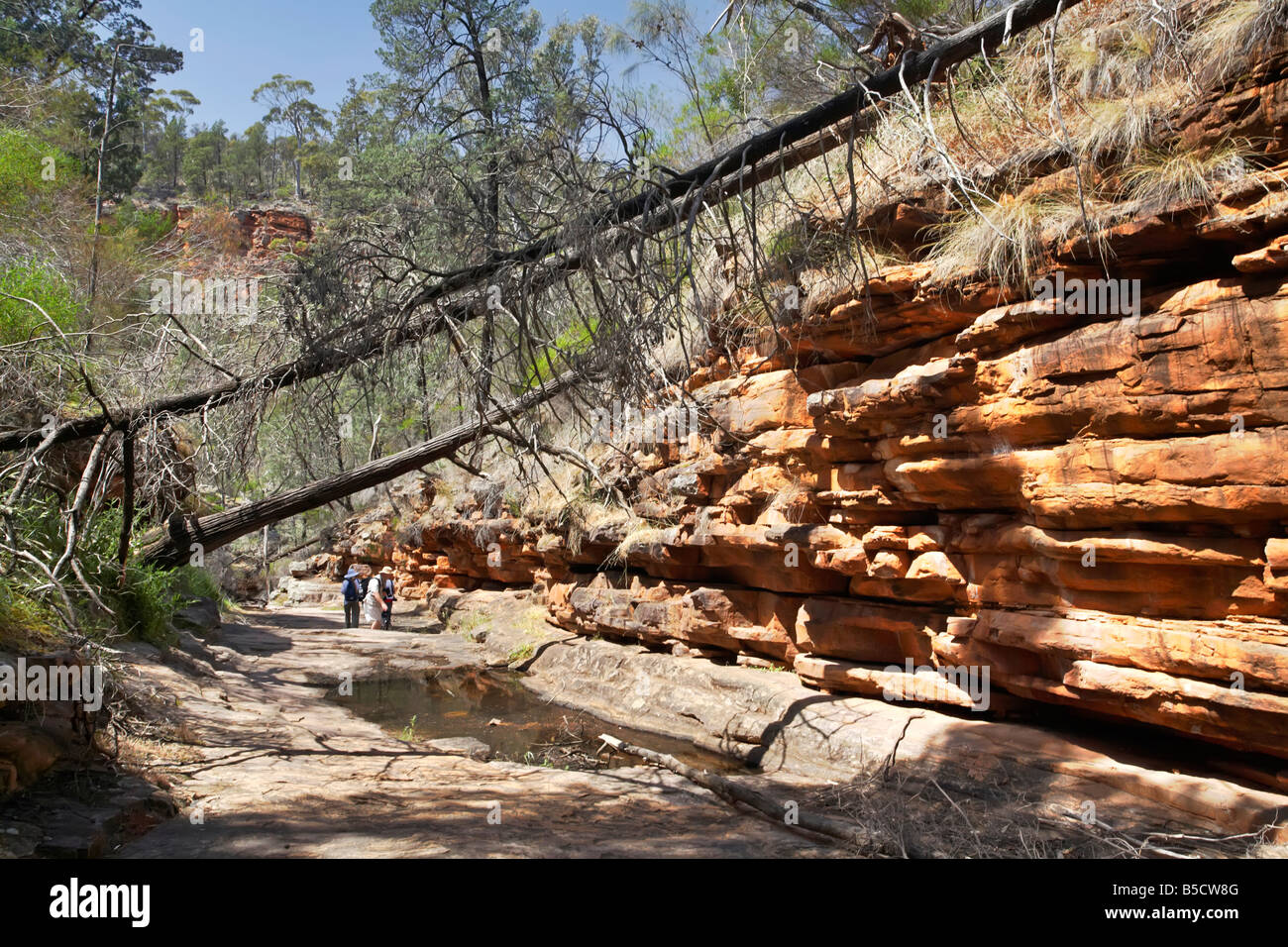 Alligator Gorge Flinders reicht Südaustralien Stockfoto