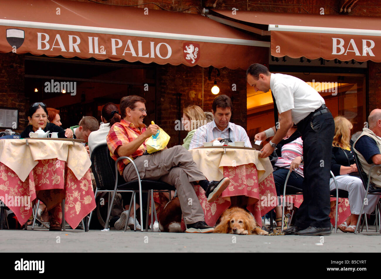 Straßencafé in Siena, Italien Stockfoto