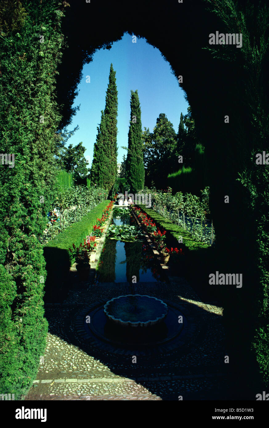Gärten der Generalife UNESCO World Heritage Site Granada Andalusien Spanien Europa Stockfoto