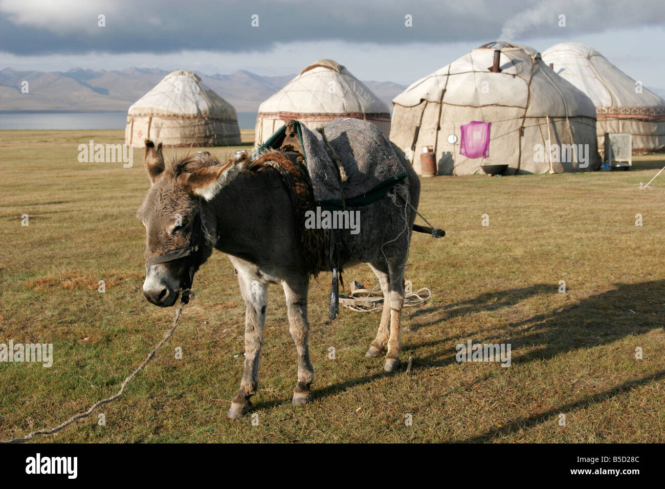 Kirgisischen Jurten, See Lied-Kol, Tien Shan Berg, Kirgisien, Zentralasien Stockfoto