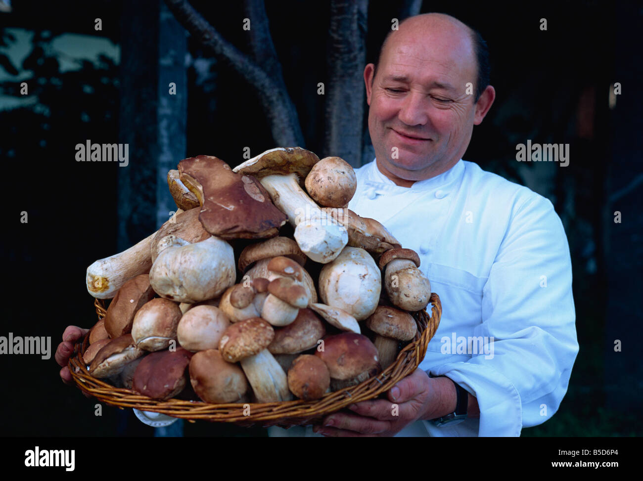 Koch mit Korb voller Pilze, Lugano, Ticino, Schweiz, Europa Stockfoto