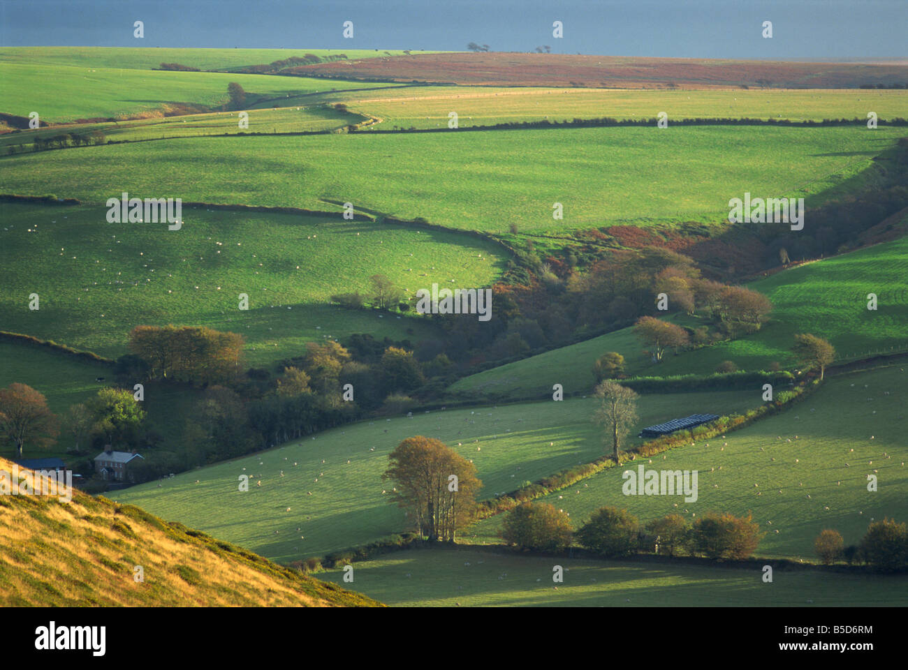 Landschaft in der Nähe von Oare Exmoor Somerset England UK R Cousins Stockfoto