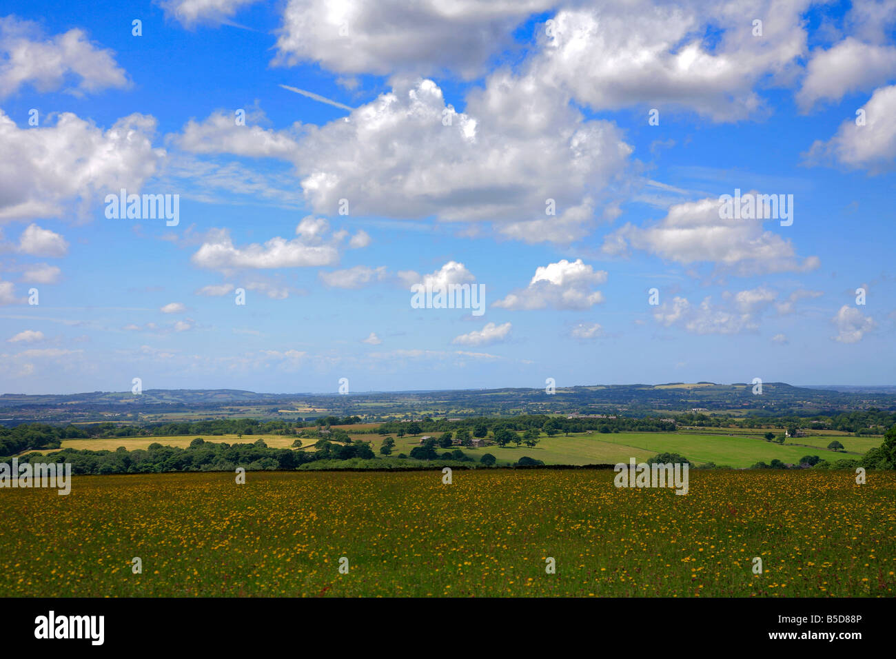 Landschaft bei Anglezark Moor Lancashire County England UK Stockfoto