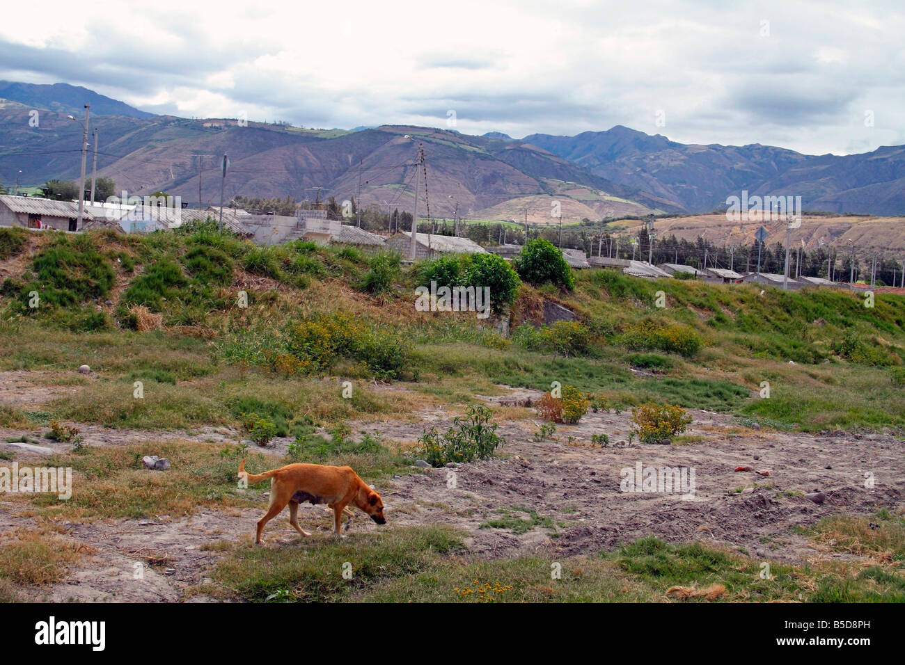 Kleine Stadt von Salinas, Provinz Imbabura, Ecuador Stockfoto