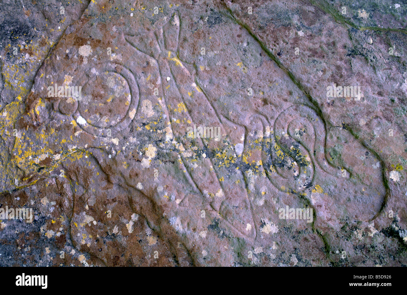 Piktische Symbole von Lachs, Schlange und Spiegel, Aberlemno Pictish Steinen, Aberlemno, Angus, Schottland, Europa Stockfoto