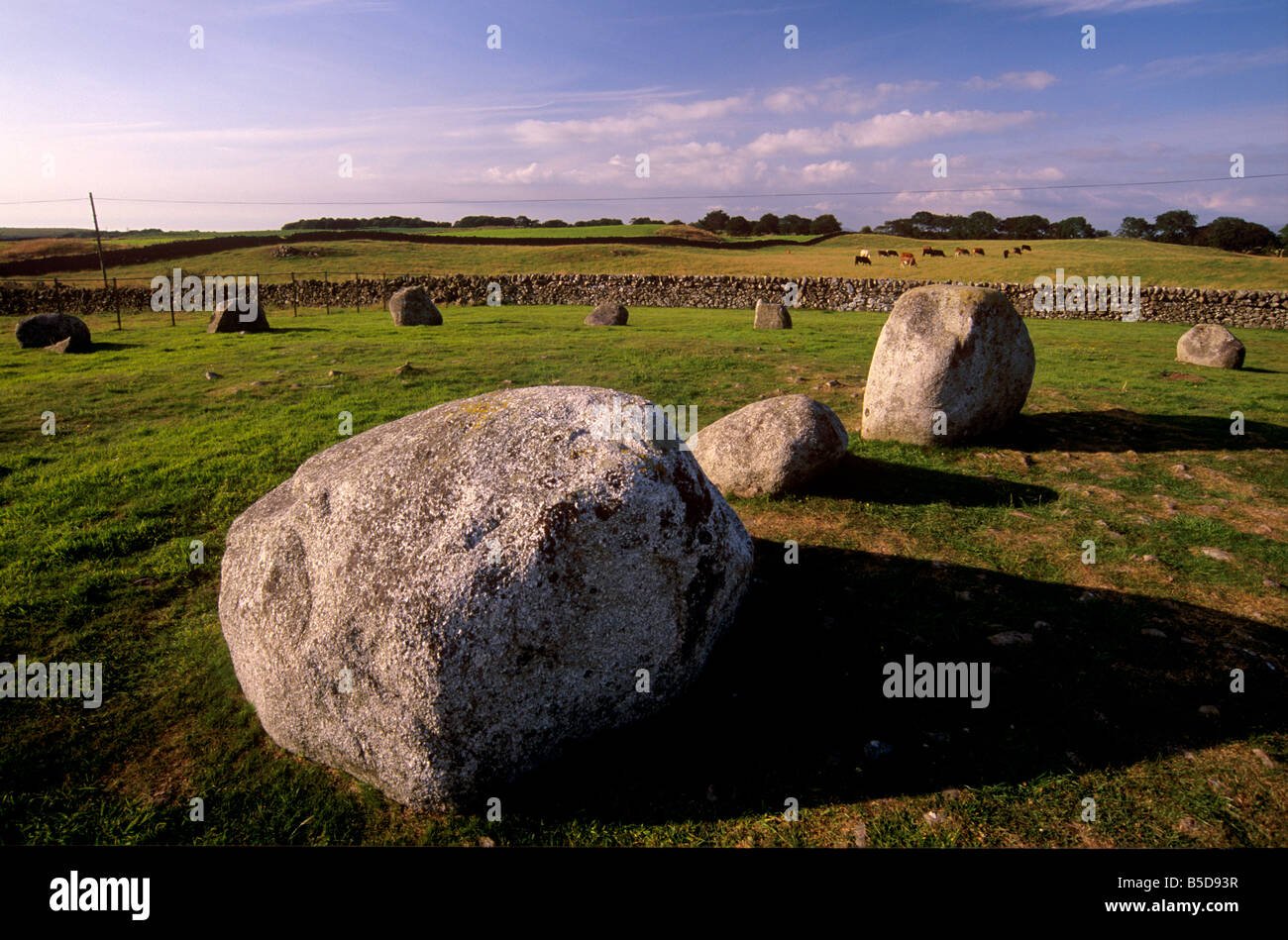 Torhouskie Stone Circle aus der Jungsteinzeit, in der Nähe von Wigtown, Galloway, Dumfries and Galloway, Schottland, Europa Stockfoto