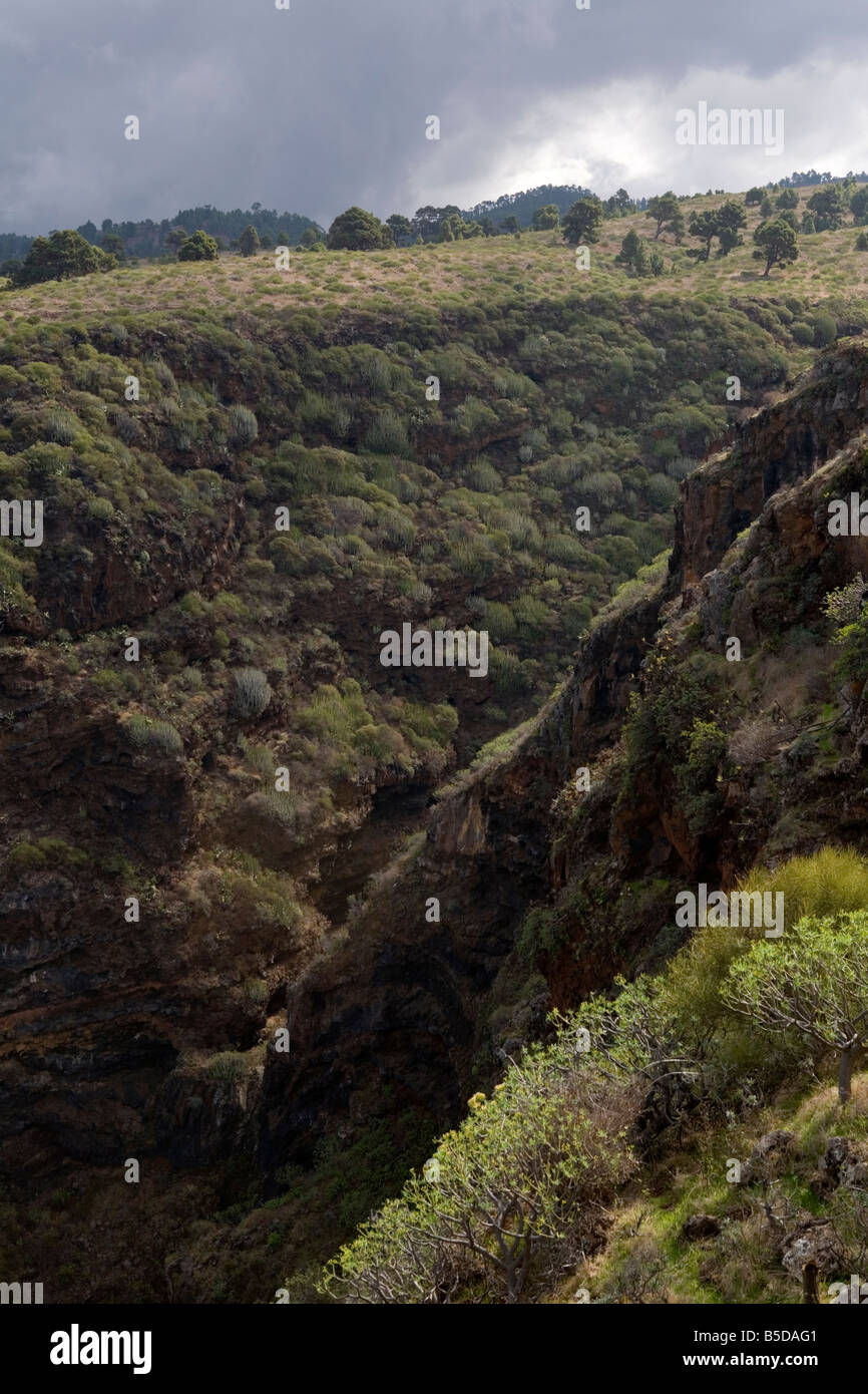 Ein Canyon in der Nähe der Küste in der Nähe von Las Tricias im Norden der Insel La Palma, Kanarische Inseln, Spanien. Stockfoto