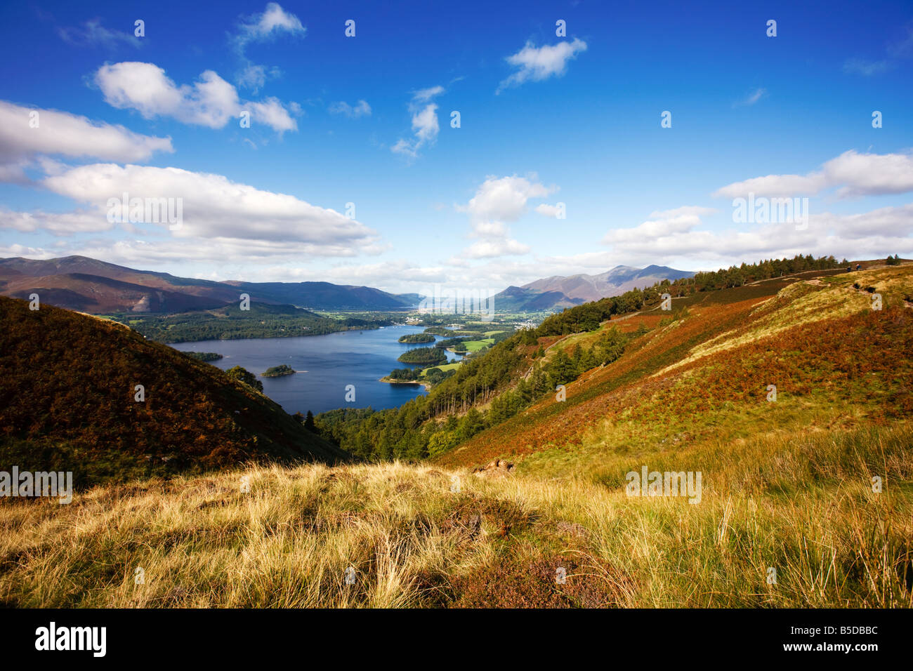 Hoch auf Bleaberry fiel zu Fuß in Richtung Derwent Water, "Lake District" Cumbria England UK Stockfoto