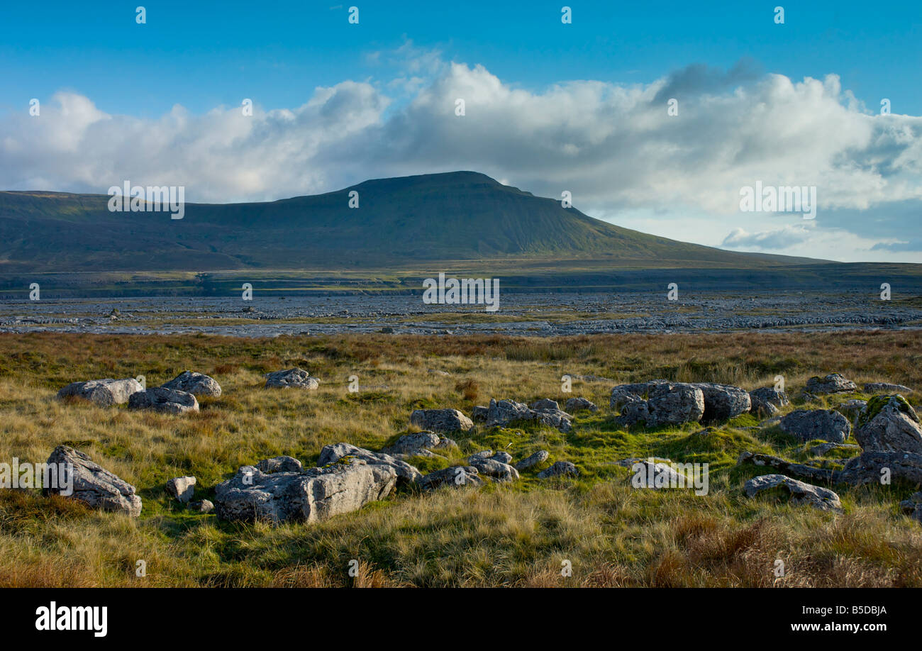 Ingleborough, einer der Yorkshire drei Zinnen, gesehen von Skalen Moor, Ribblesdale, Yorkshire Dales National Park, England UK Stockfoto