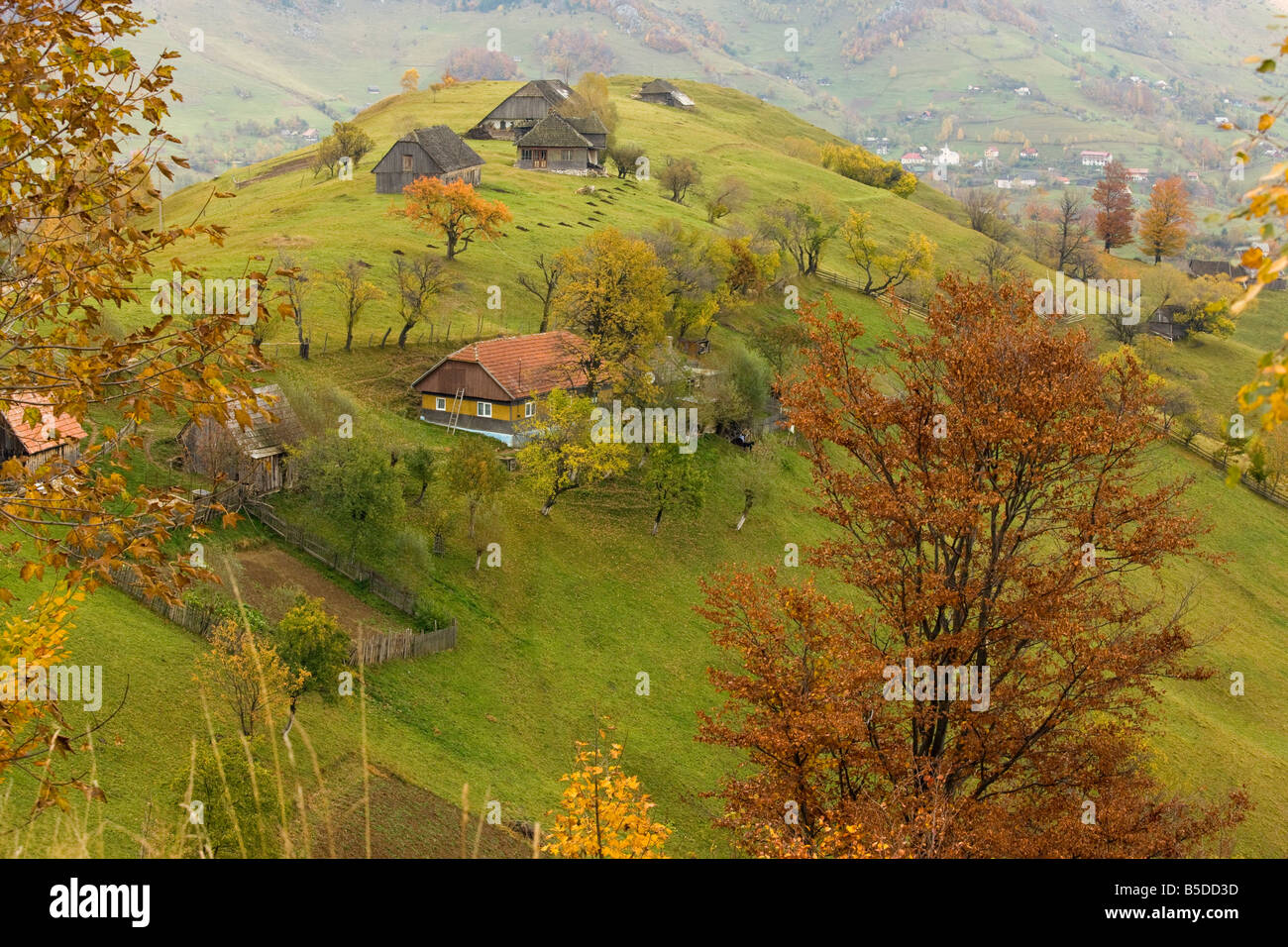 Alte Bauernhäuser in einer pastoralen montane landschaftlich mit traditioneller Landwirtschaft Piatra Criaulu Berge Herbst Rumänien Stockfoto