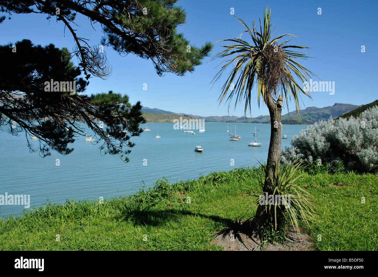 Blick über Cass Bay, Port Hills, Banks Peninsula, Neuseeland Stockfoto