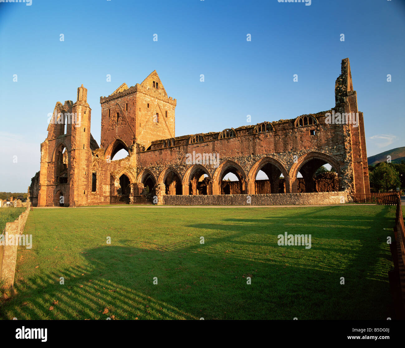 Sweetheart Abbey aus dem 13. und 14. Jahrhundert, Dumfries and Galloway, Schottland, Europa Stockfoto