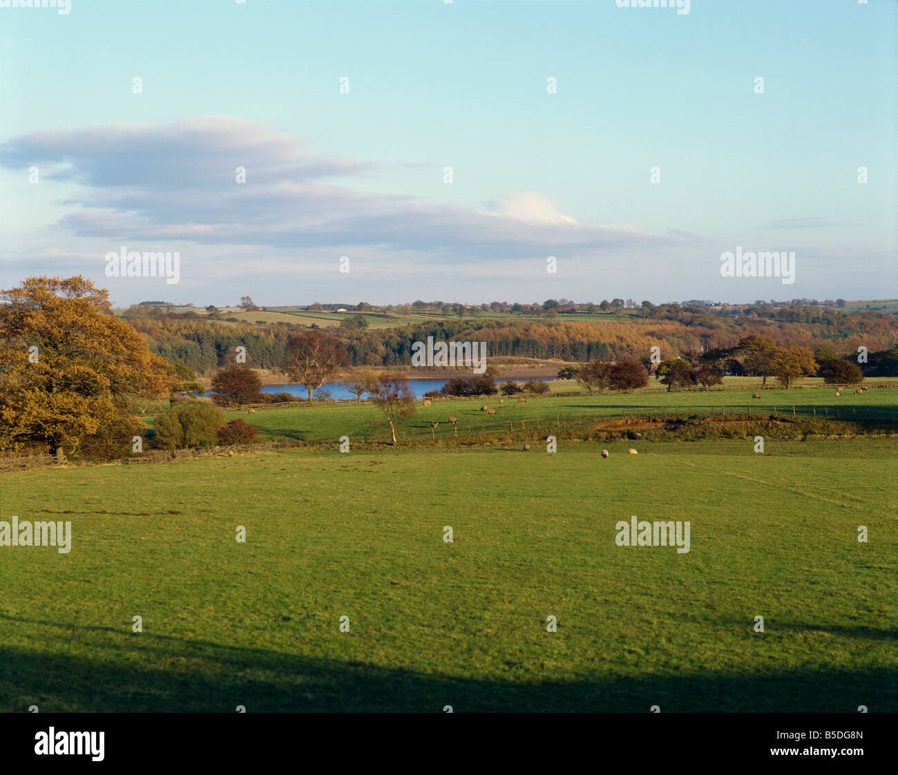 Die Yorkshire Dales Yorkshire England England Europa Stockfoto