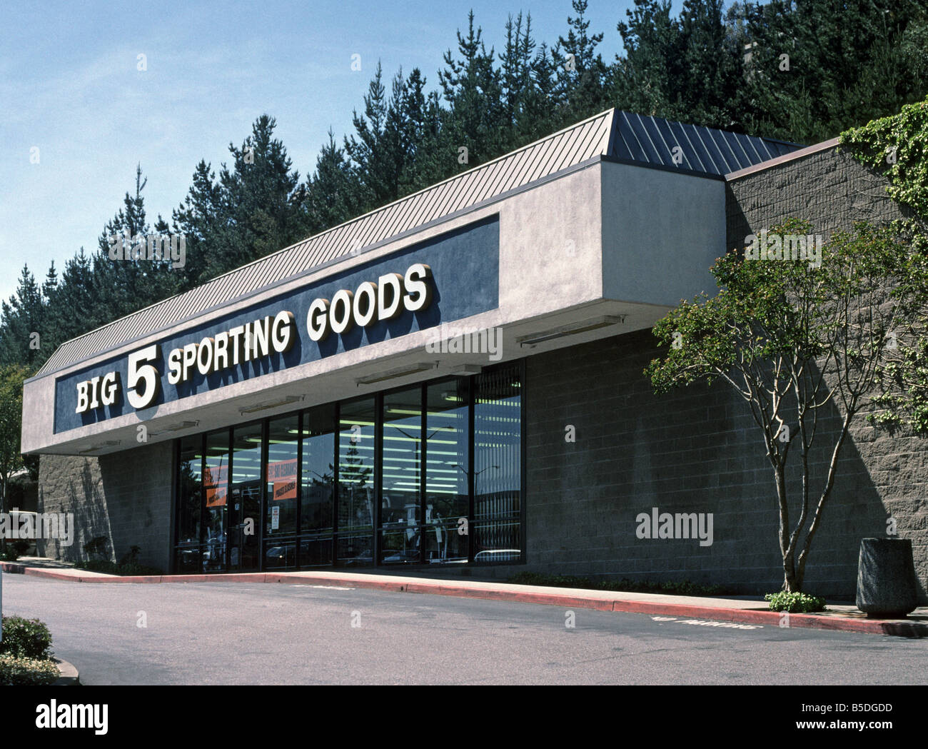 Große 5 Sporting Goods speichern in Kalifornien, USA Stockfoto